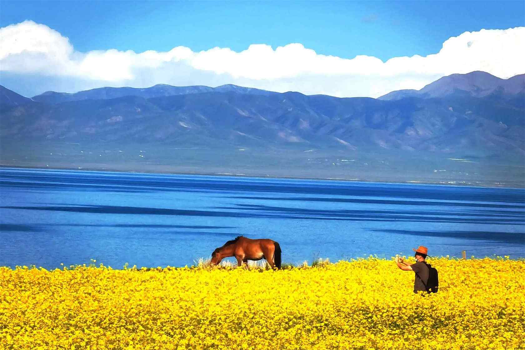 Qinghai Lake Tour