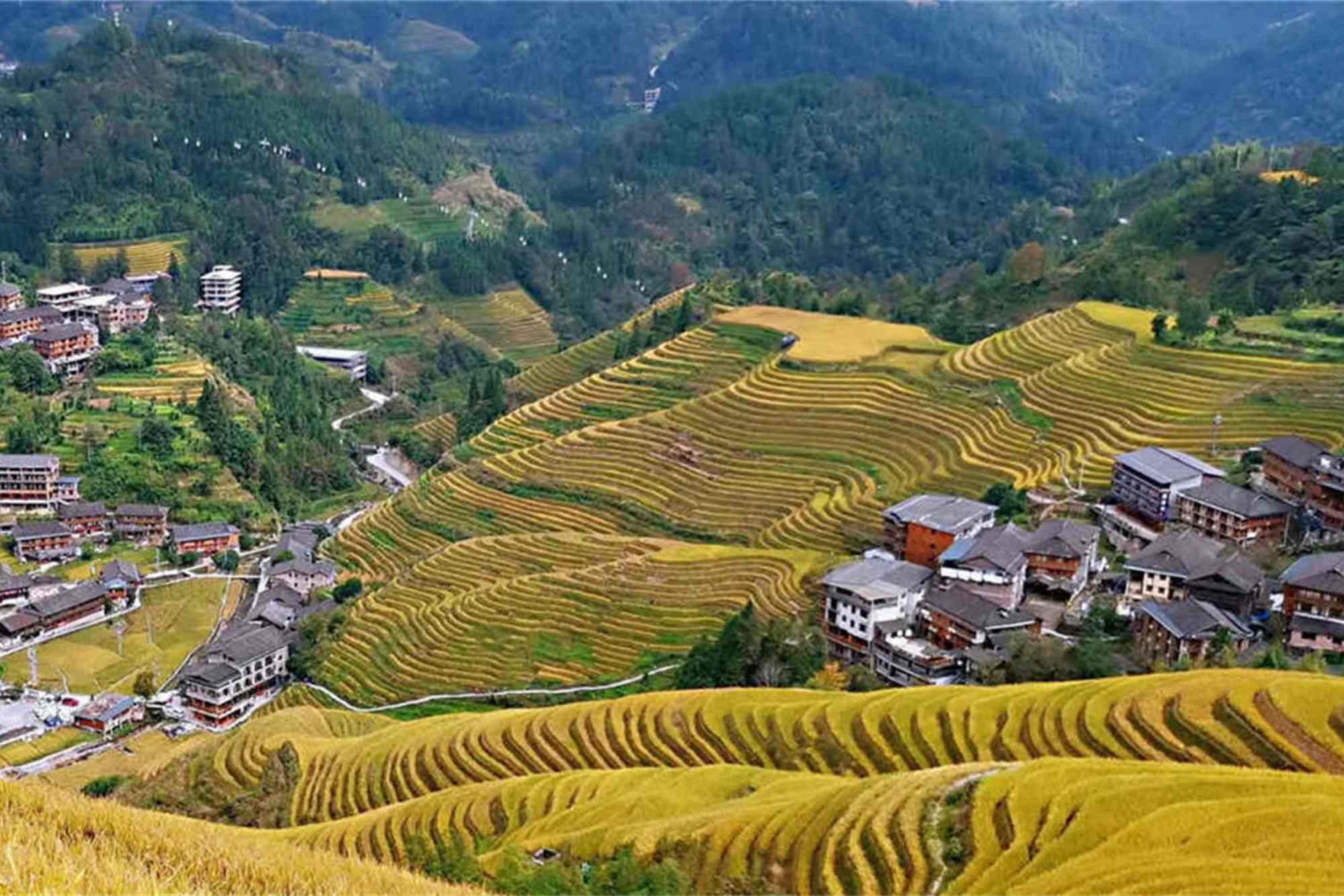 Longji Rice Terrace Tour