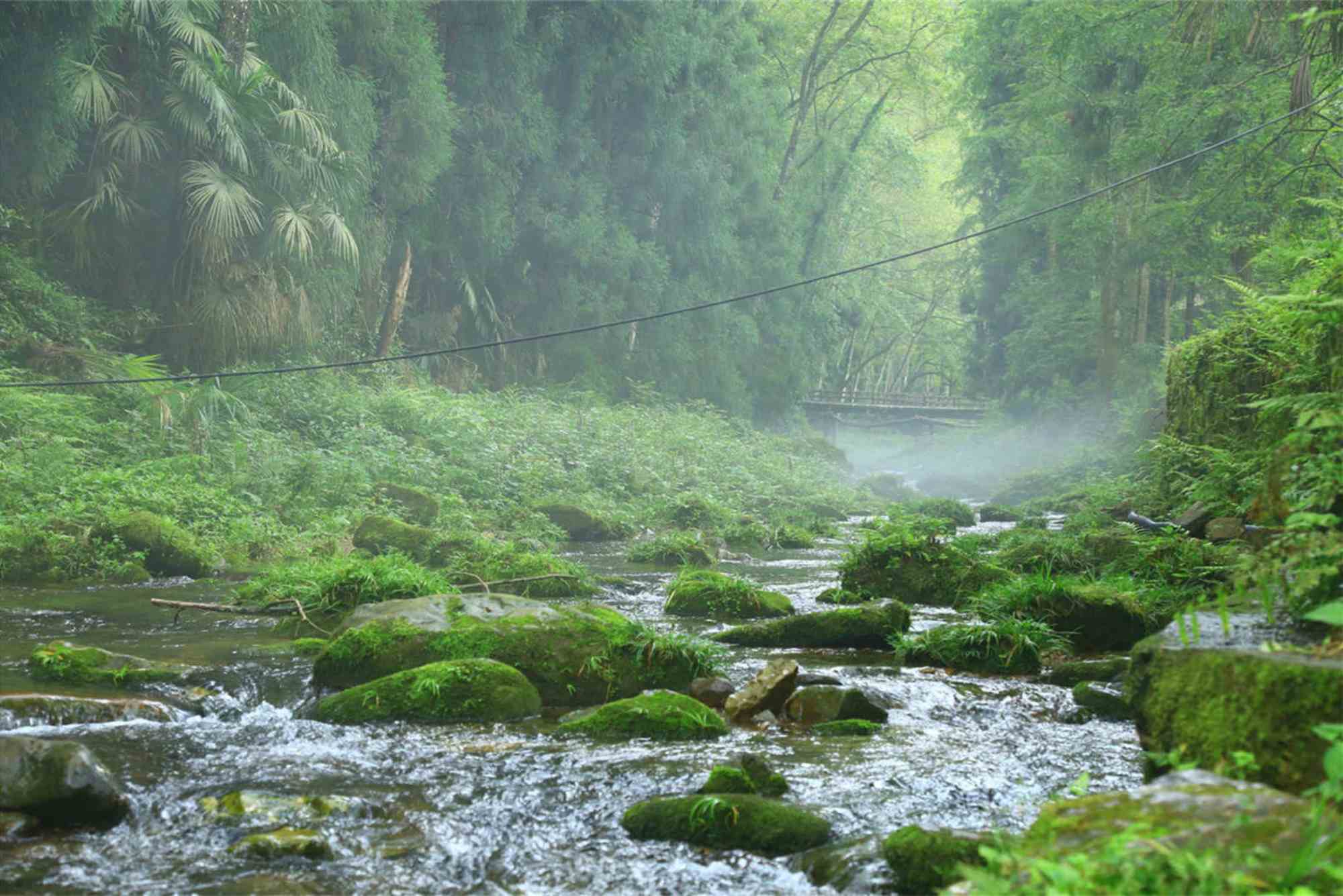 Hunan Attractions