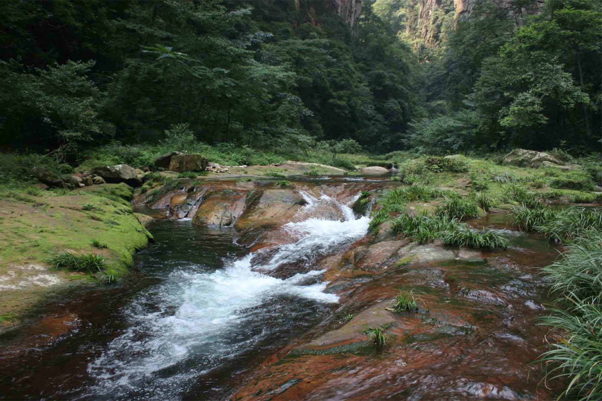 Golden Whip Brook Tour
