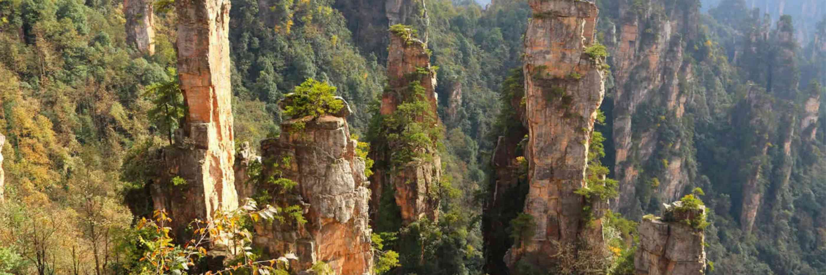 Zhangjiajie Grand Canyon Tour