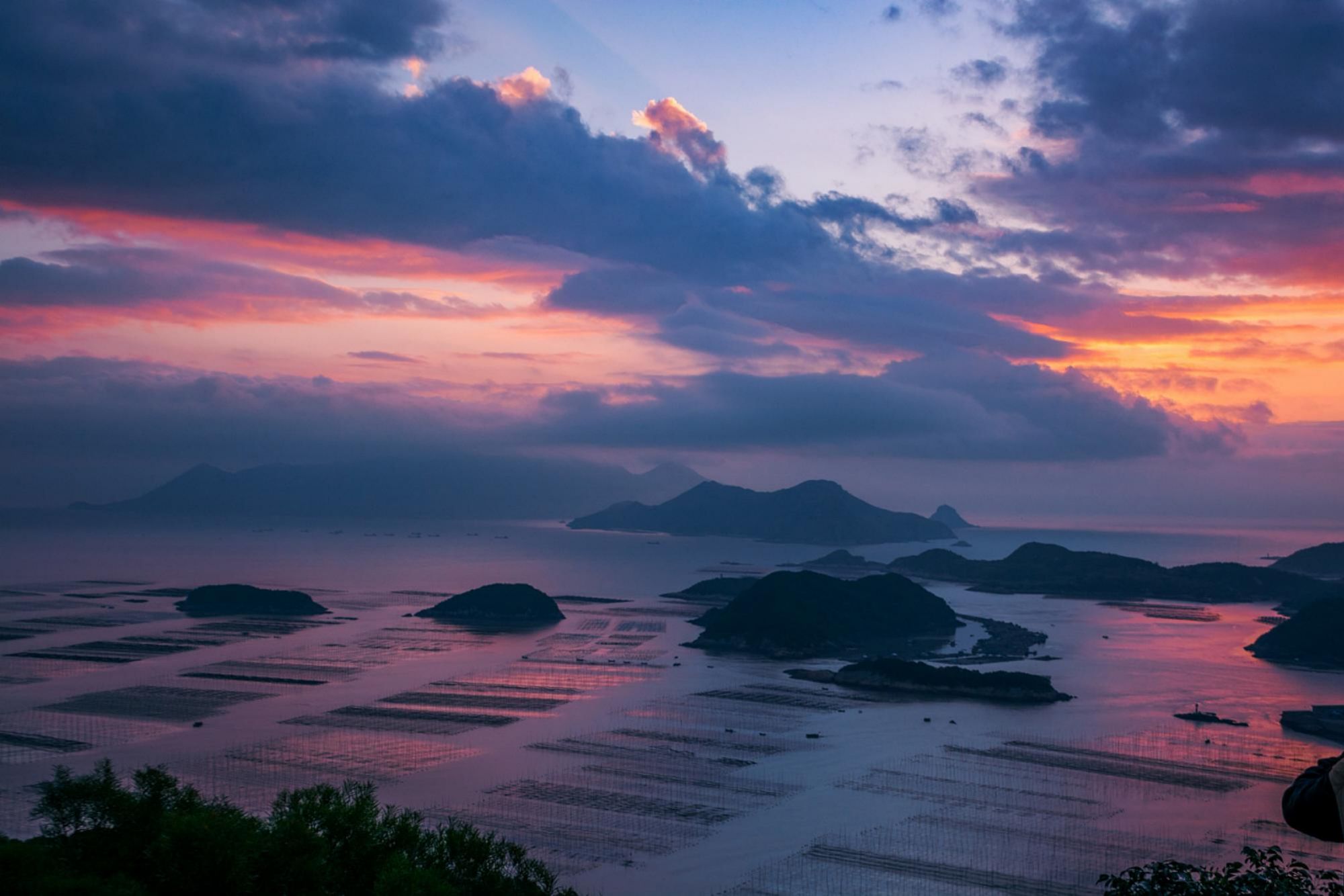 Fujian travel agency