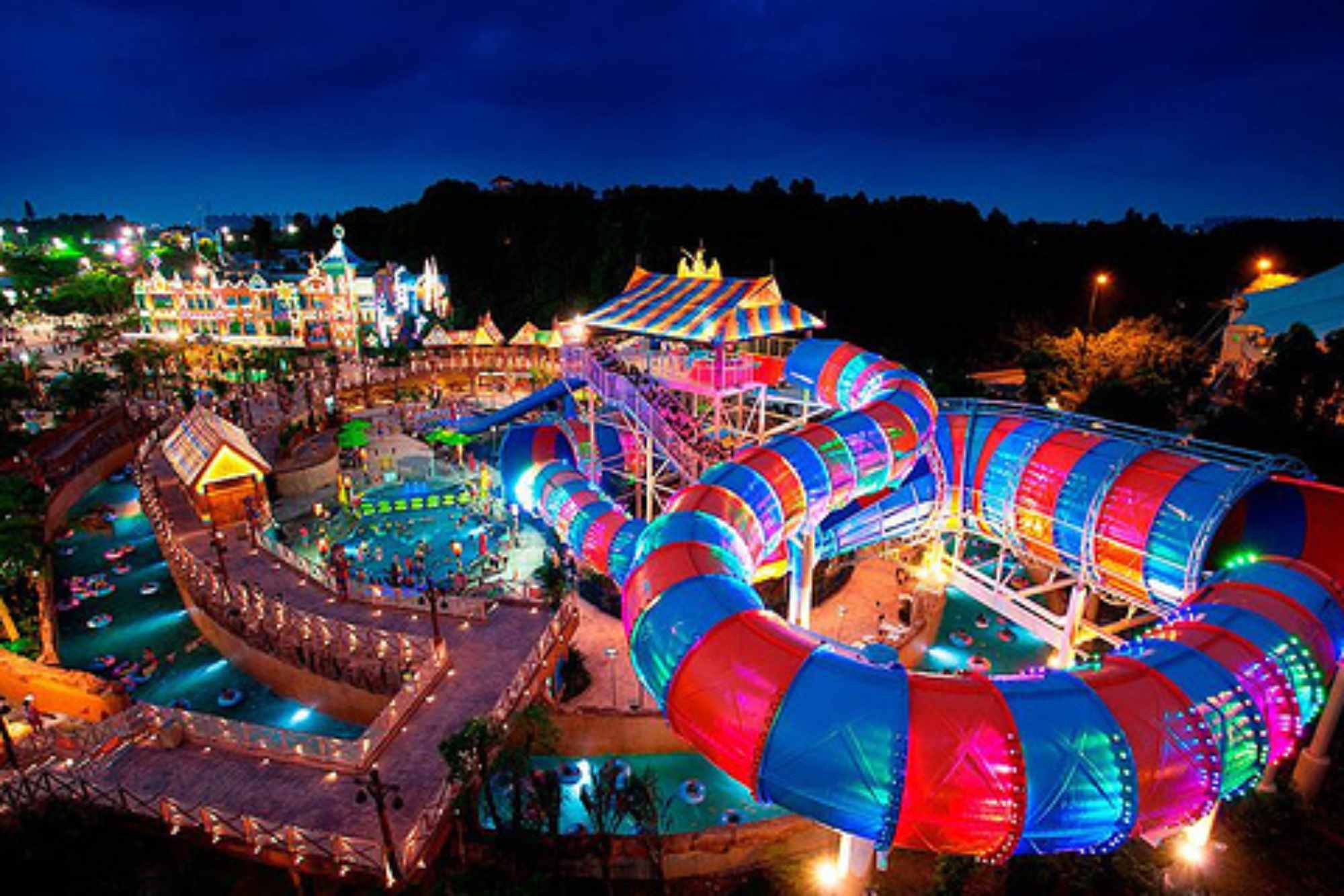 Chimelong Safari Park Tour