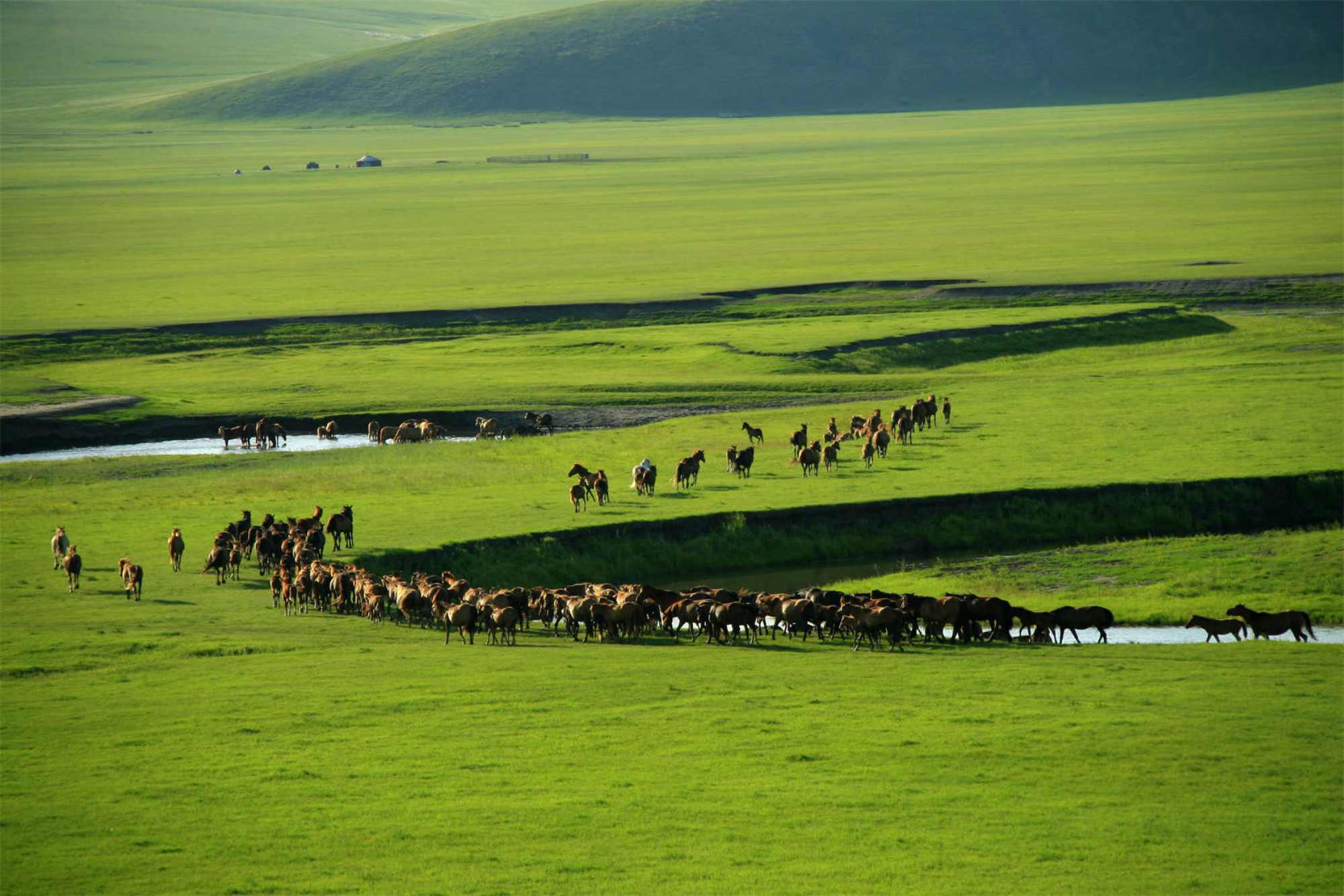 Xilamuren Grassland Tour