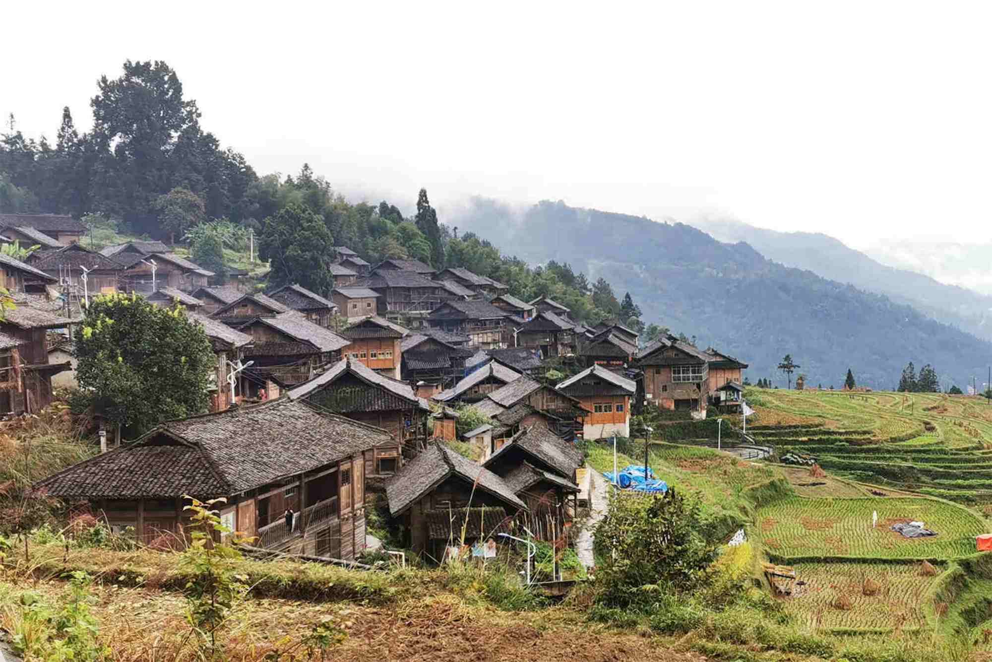 Guizhou travel agency