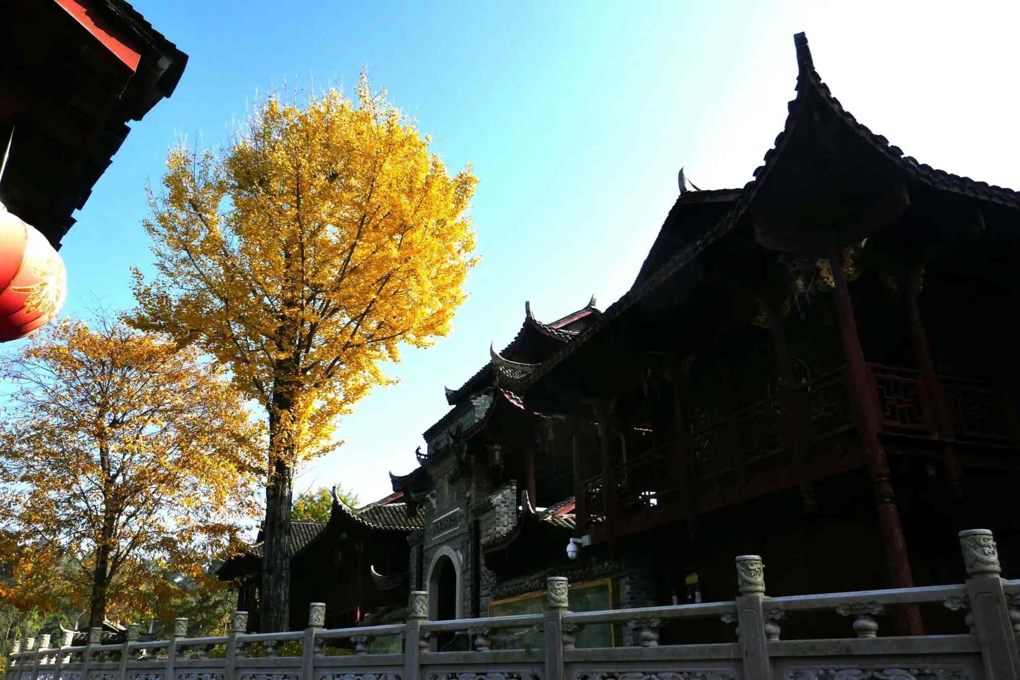 Guizhou travel agency