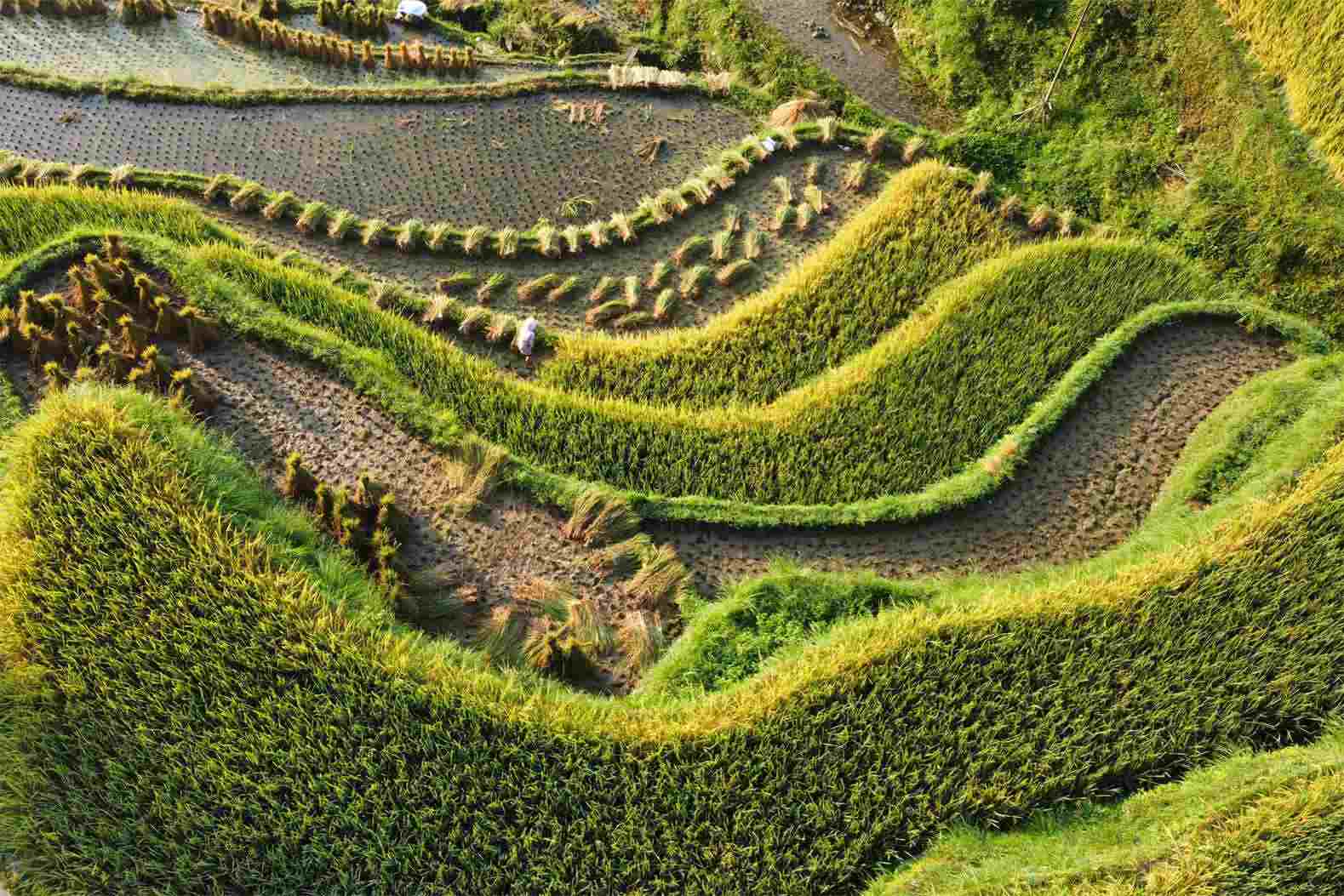 Guizhou travel agency