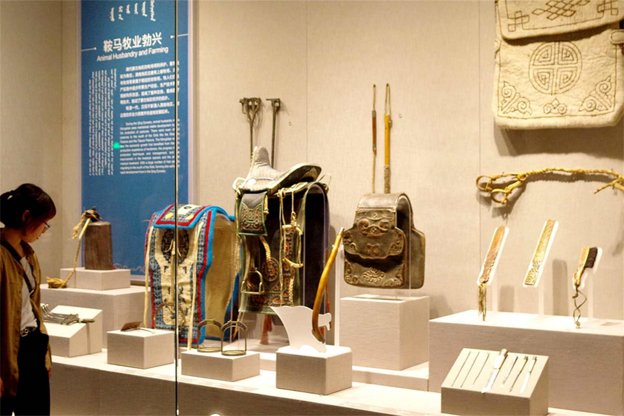 Inner Mongolia Museum Tour
