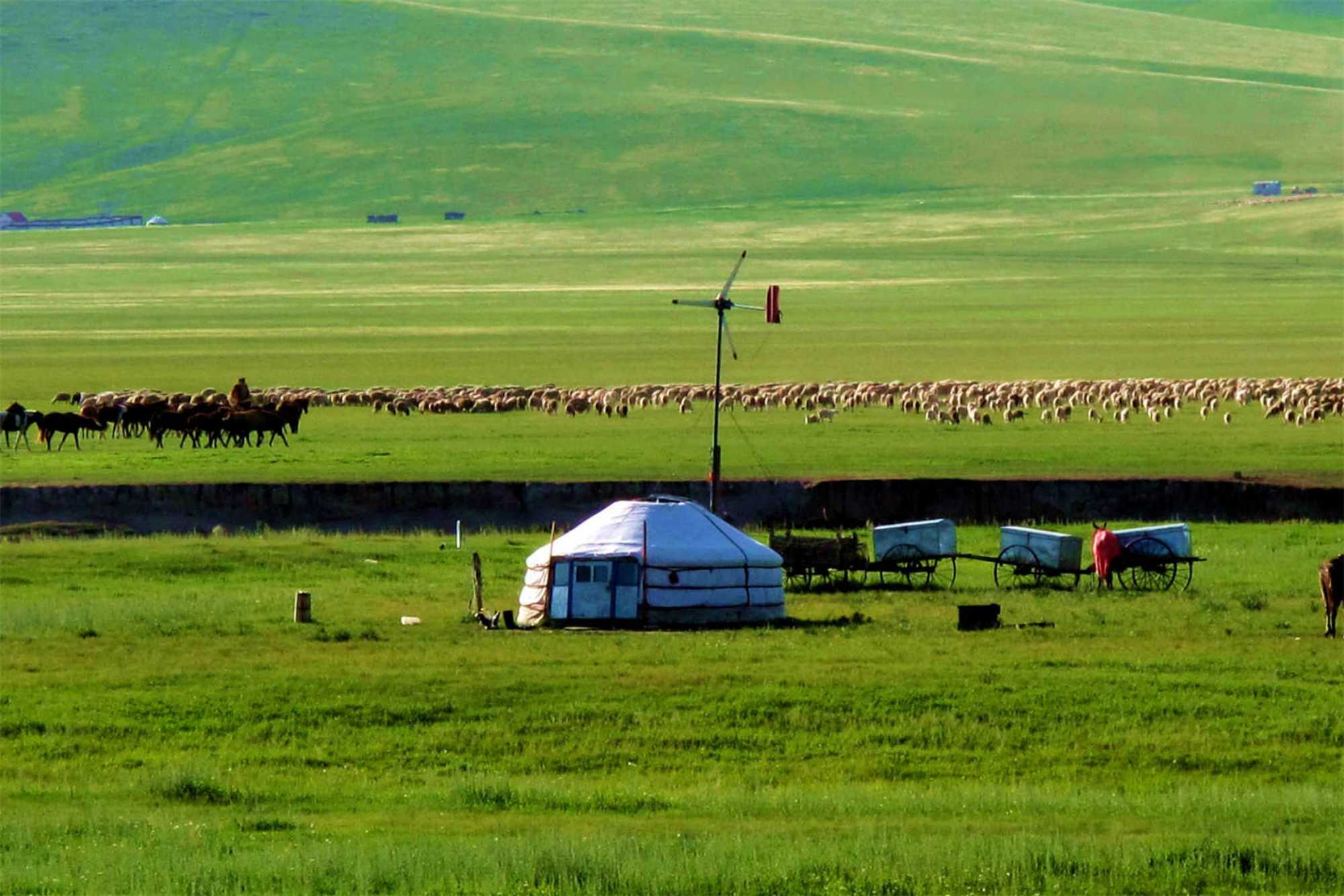 Hulunbuir Grassland Tour
