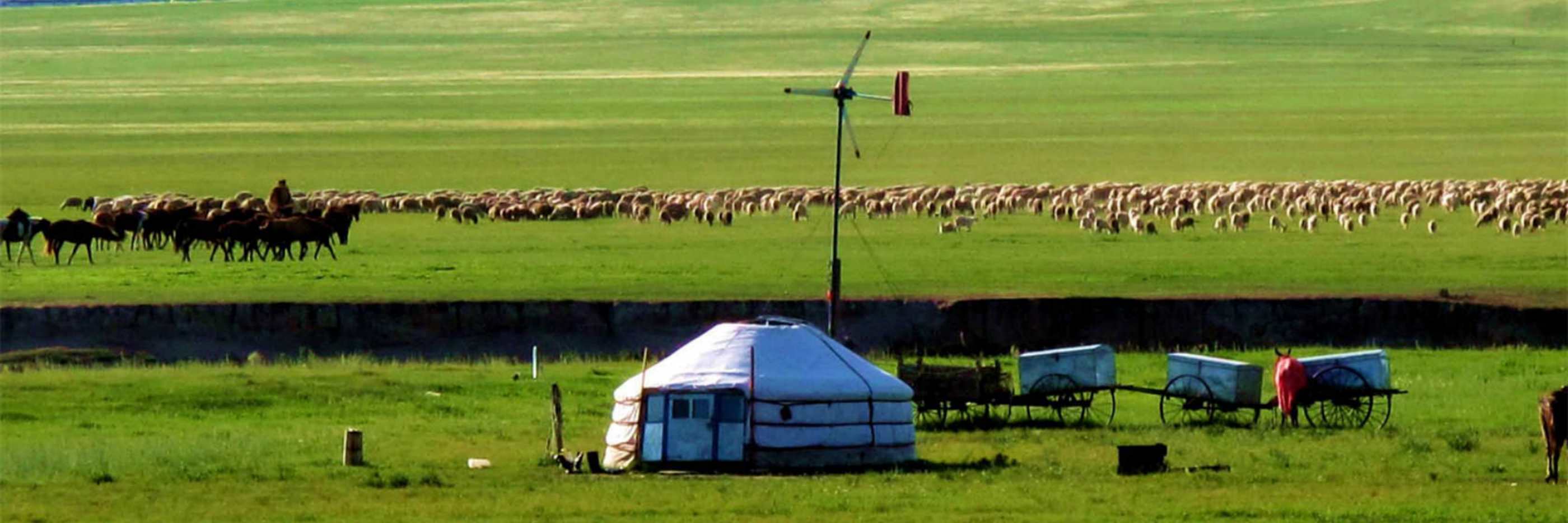 5-Day Inner Mongolia Hulunbuir Grassland Private Tour&nbsp;