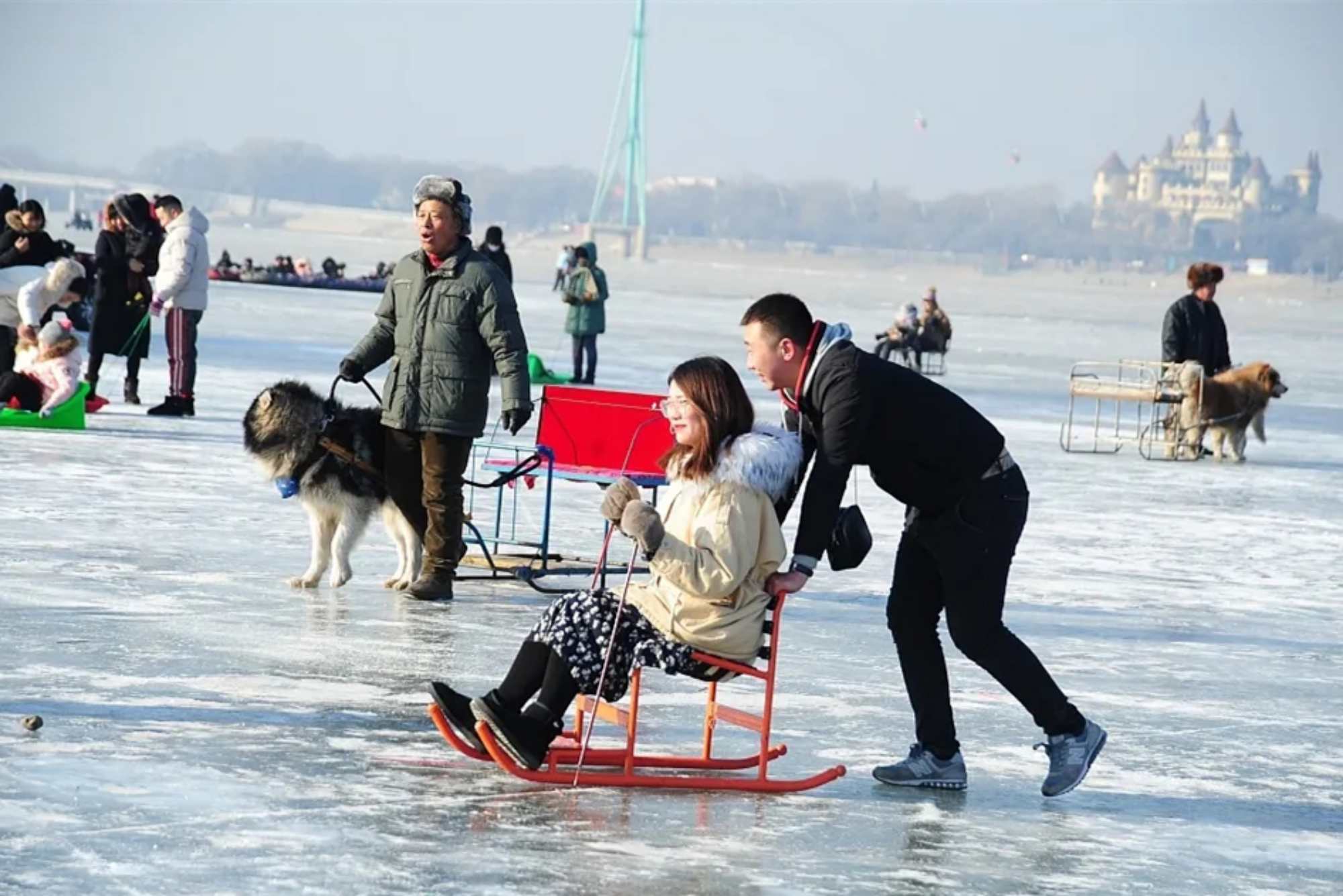 Harbin travel agency