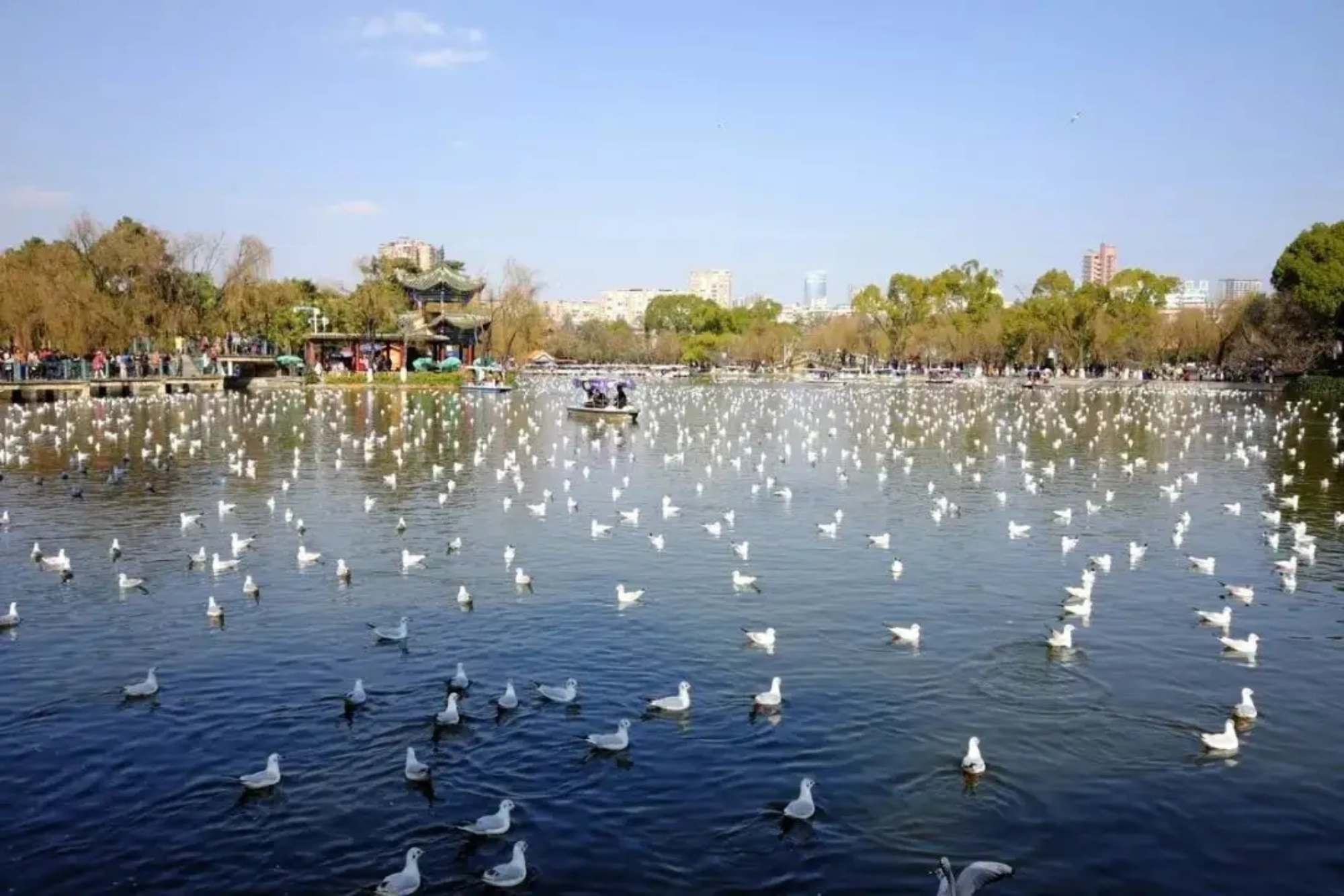 Green Lake Park Tour