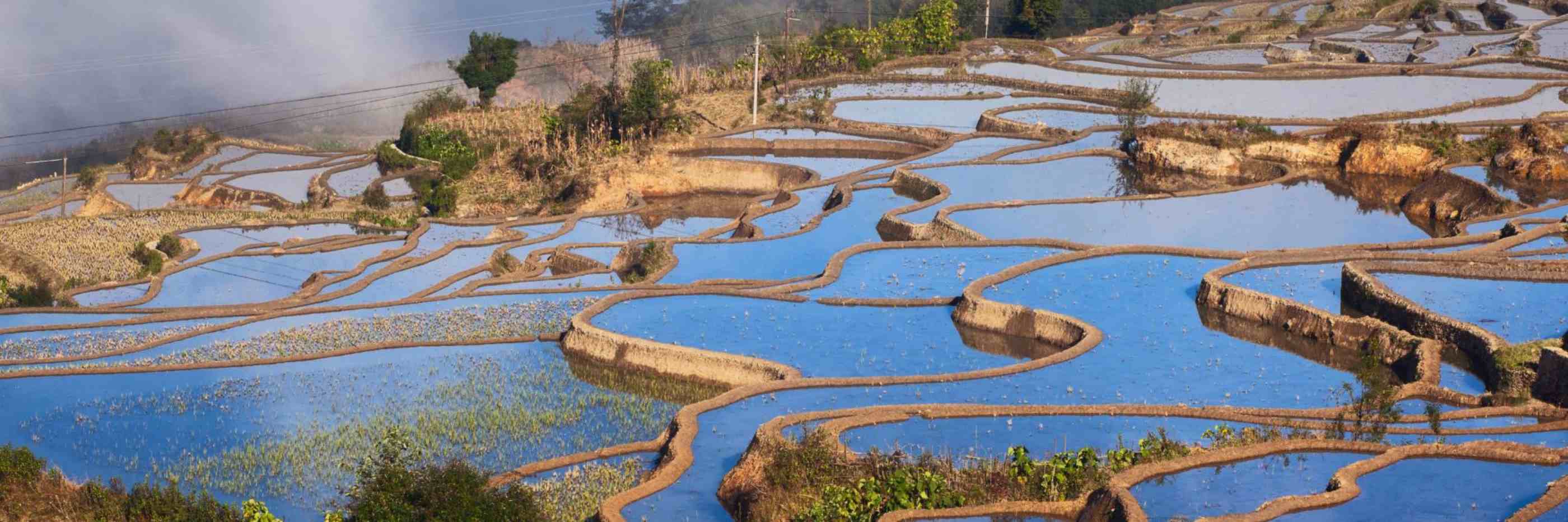 Yuanyang Hani Rice Terraces Tour
