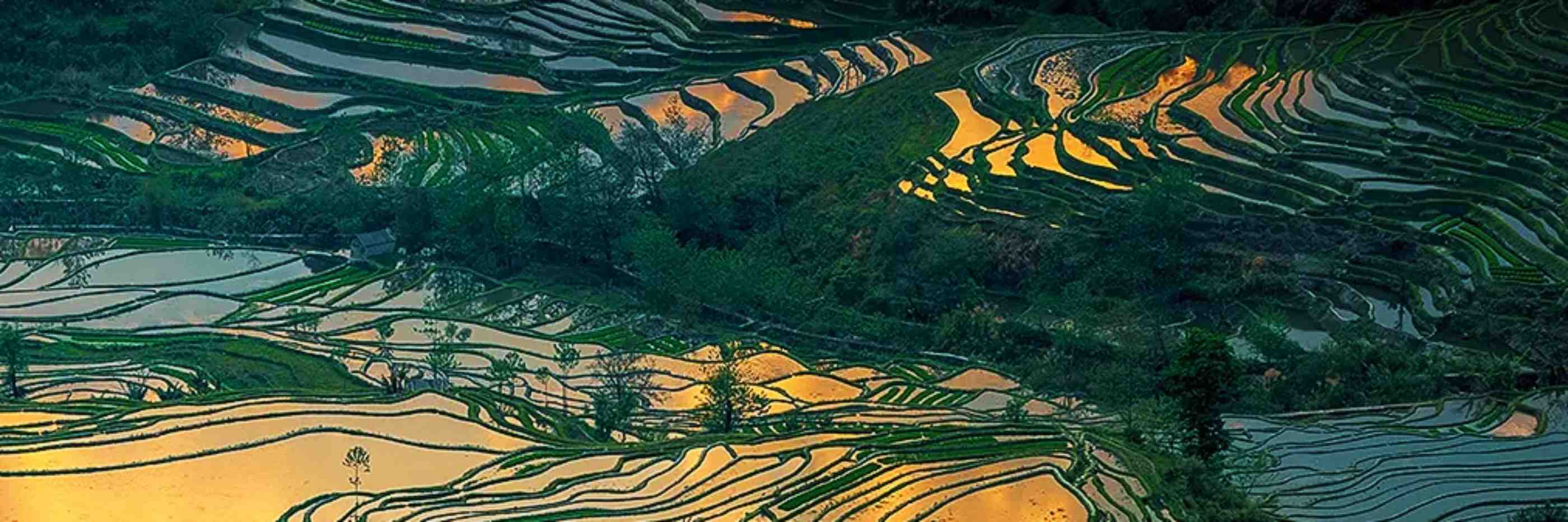 Kunming travel agency