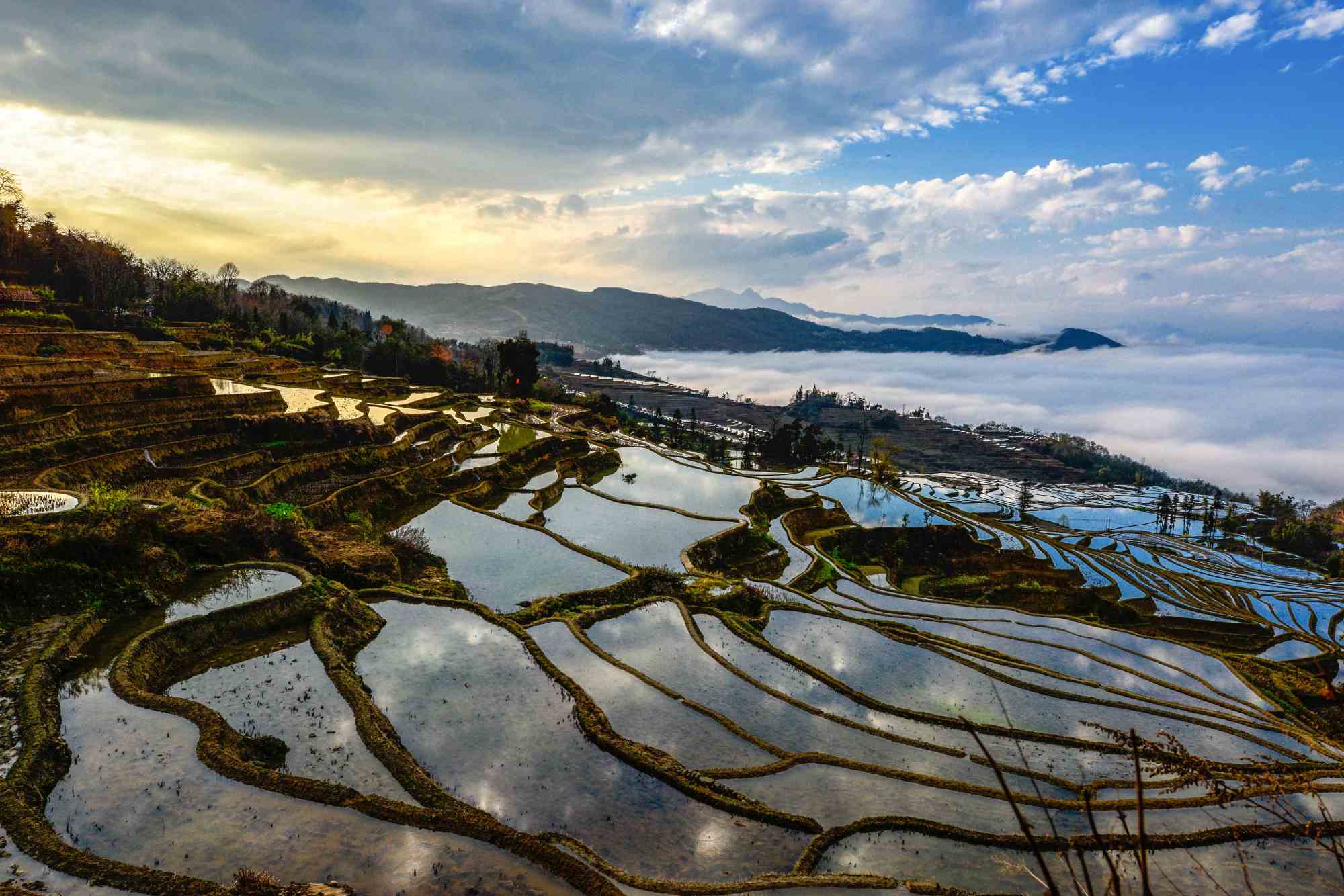 Kunming travel agency