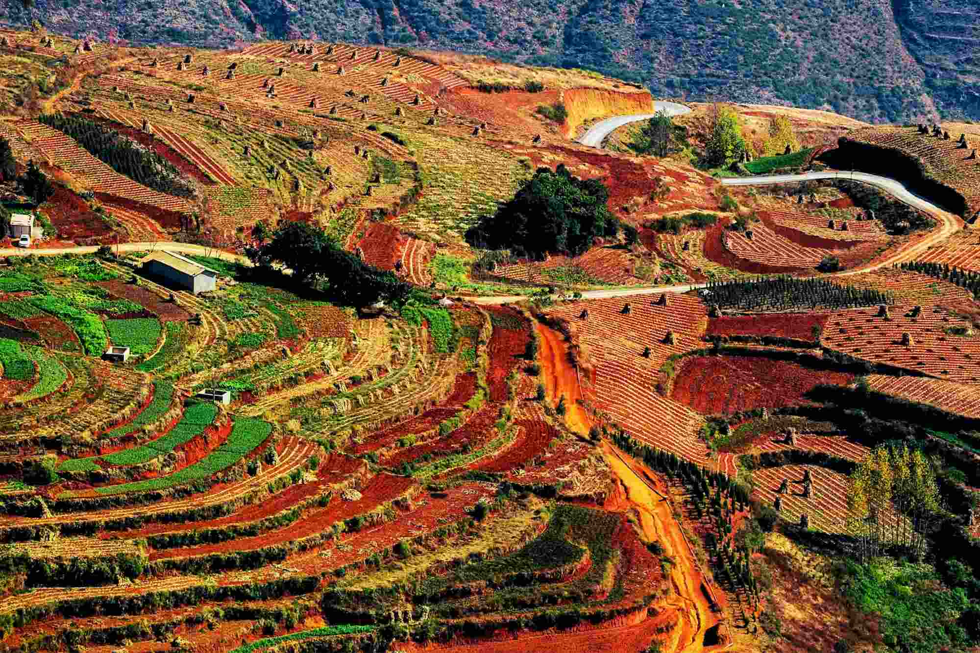 Dongchuan Red Tour