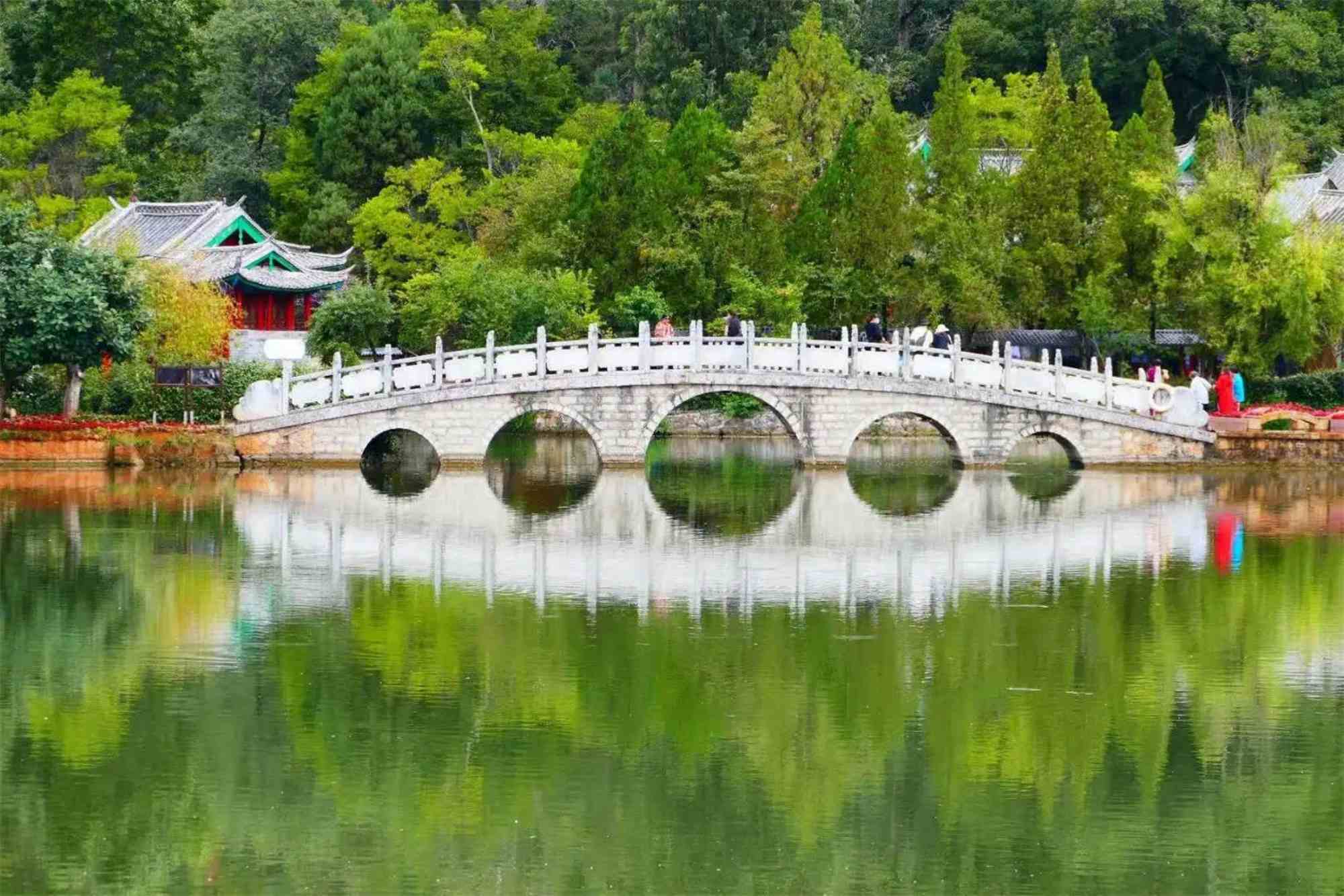 Lijiang travel agency