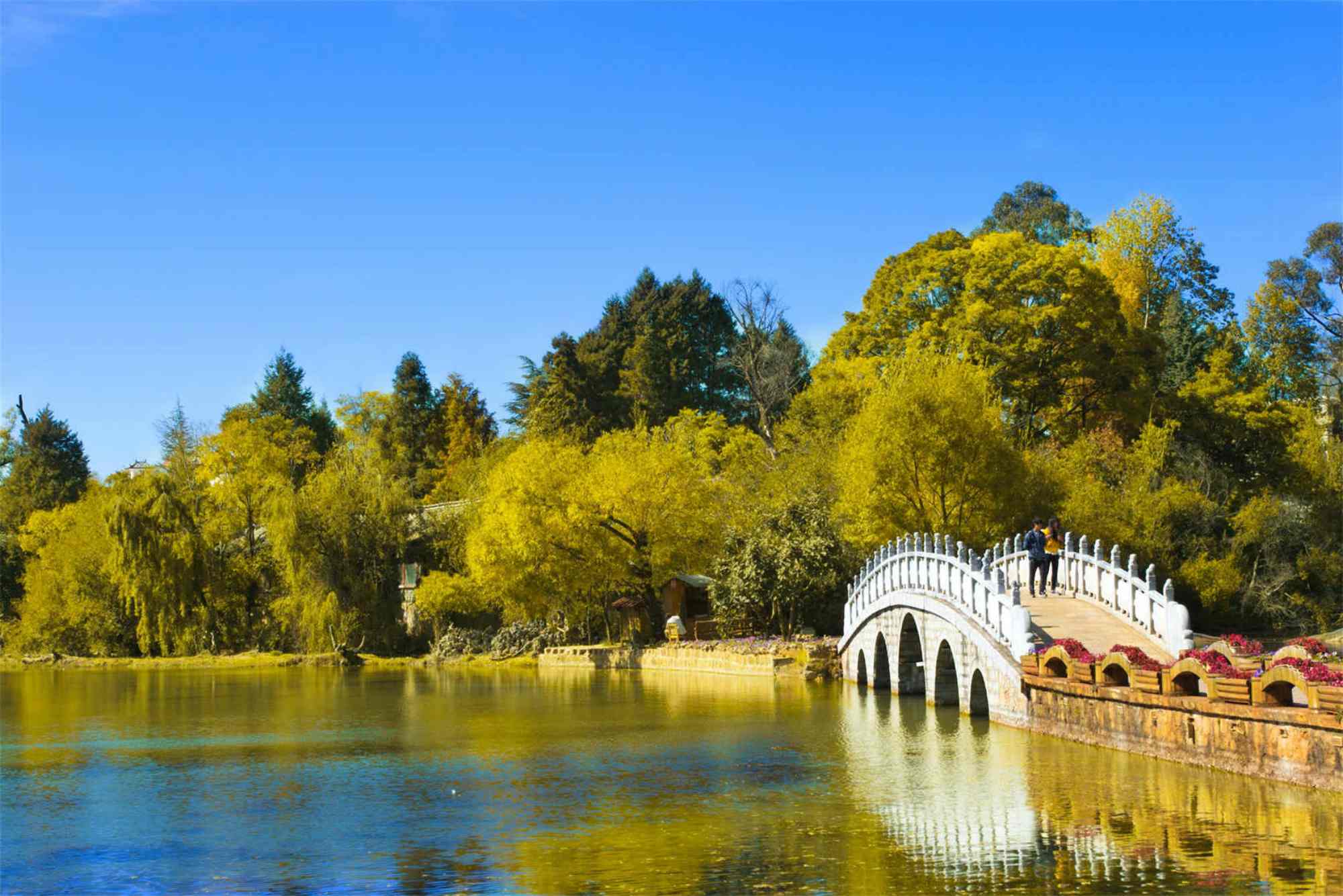 Lijiang travel agency