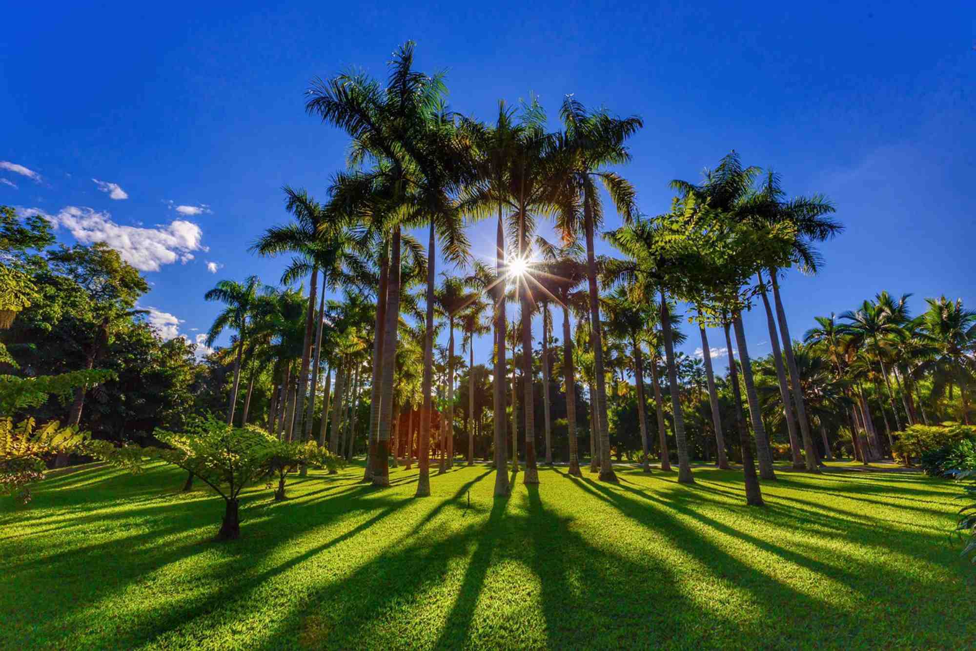Xishuangbanna travel agency