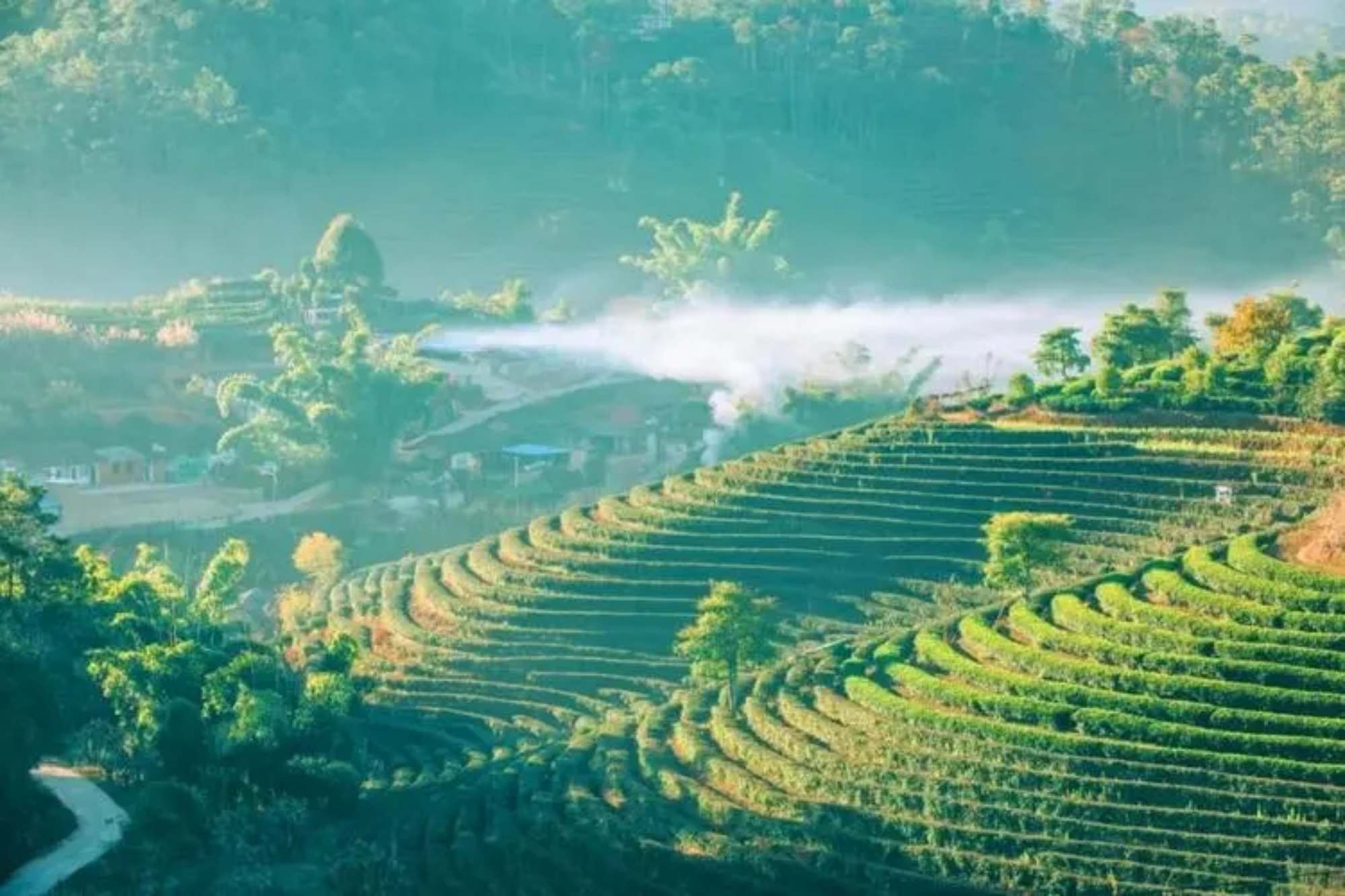 Xishuangbanna travel agency
