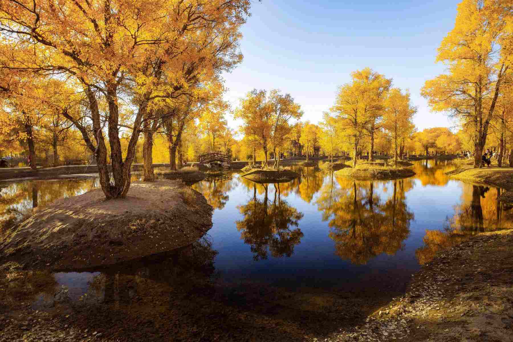 12-Day Xinjiang Tour to Narat Grassland and Kashgar