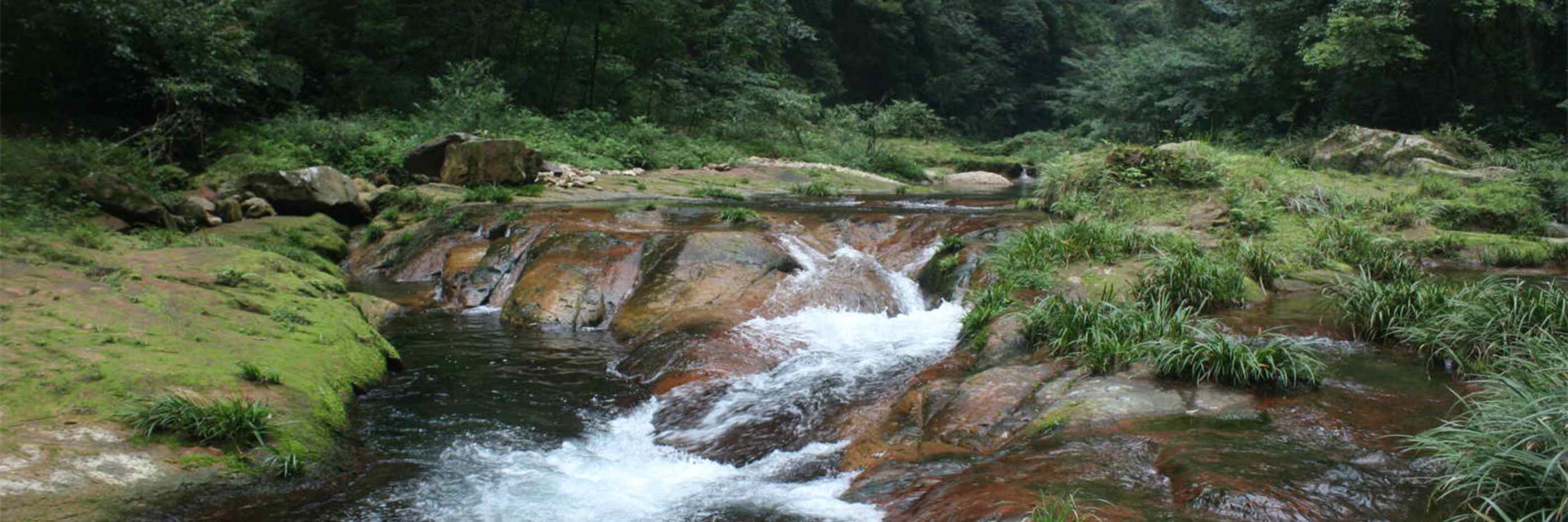 Golden Whip Brook Tour