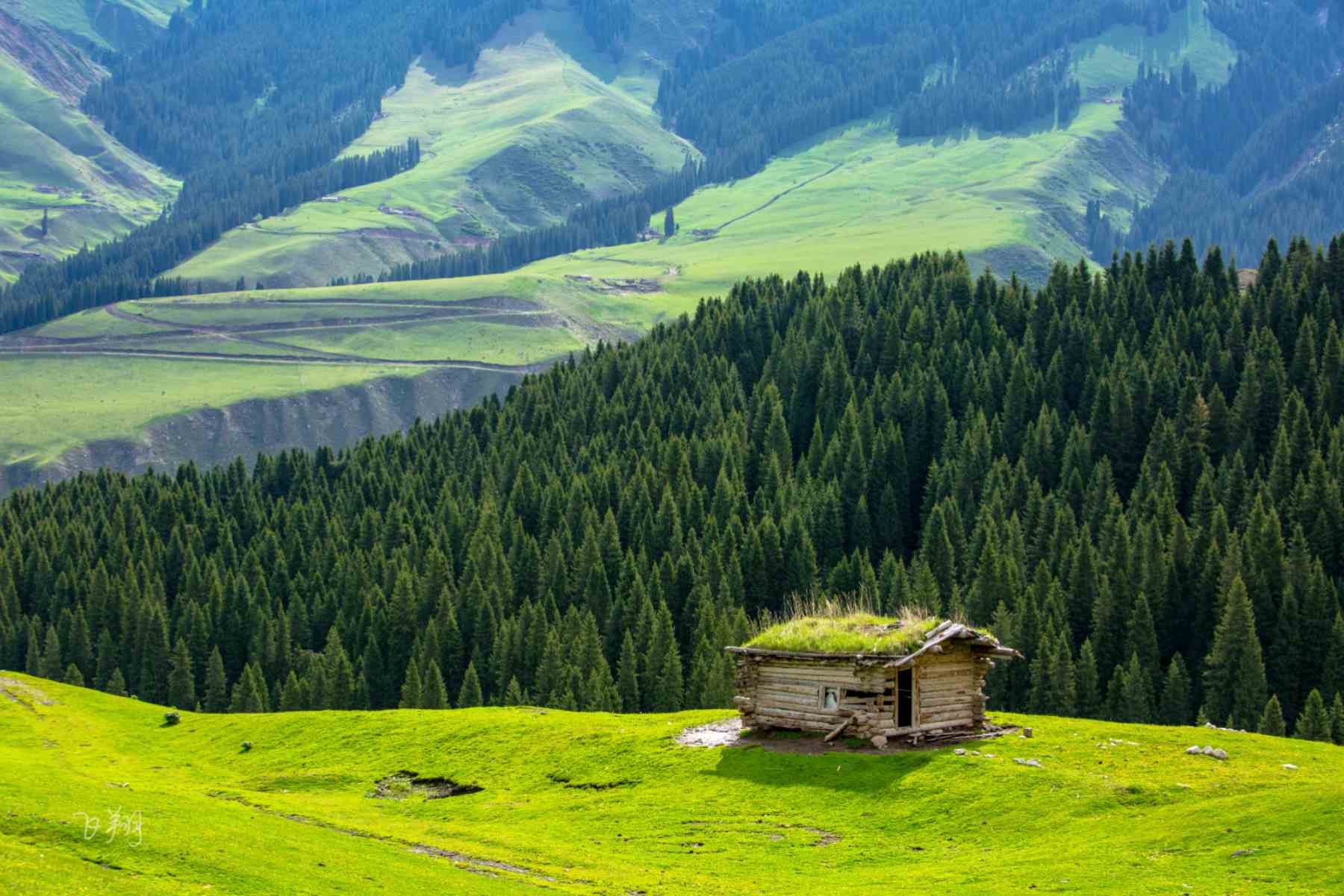 5-Day Xinjiang Private Tour of Kashgar includes Karakul Lake, Stone Fortress and Golden Grassland