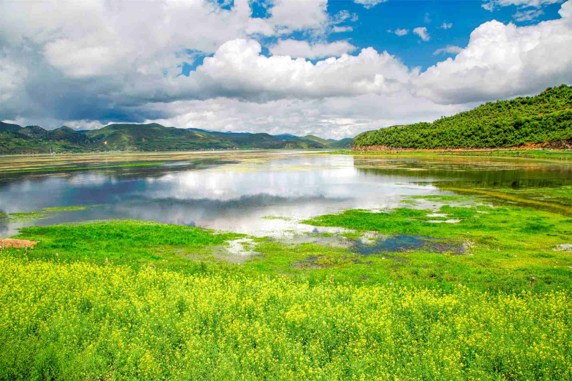 Napahai Lake tour