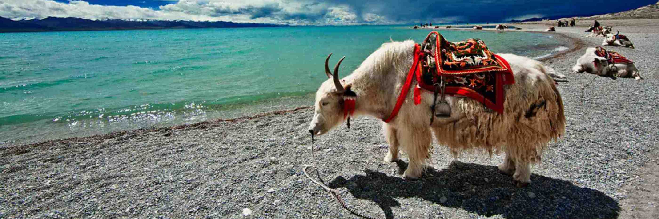 5-Day Tibet Private Tour includes Lhasa City and Namtso Lake
