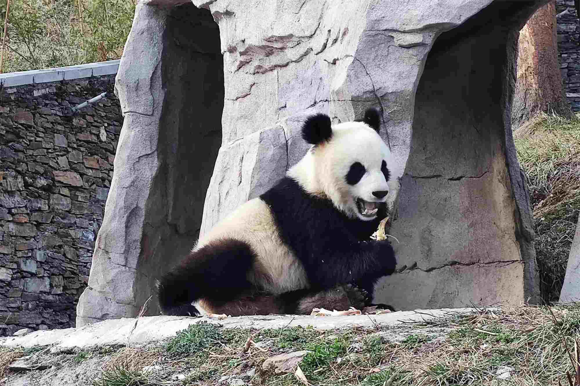 Chengdu Attractions