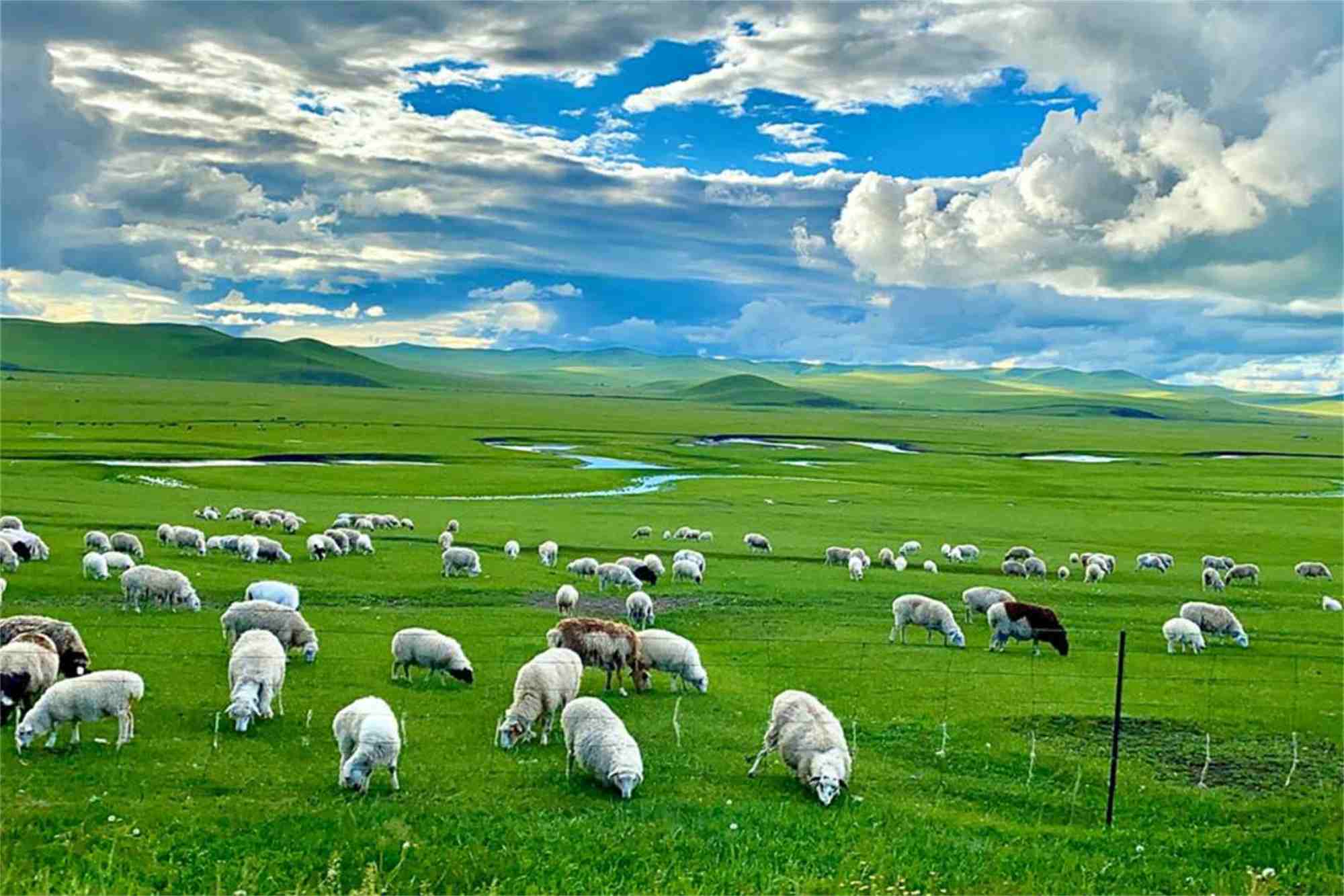 Hulunbuir Lake of Inner Mongolia Tour