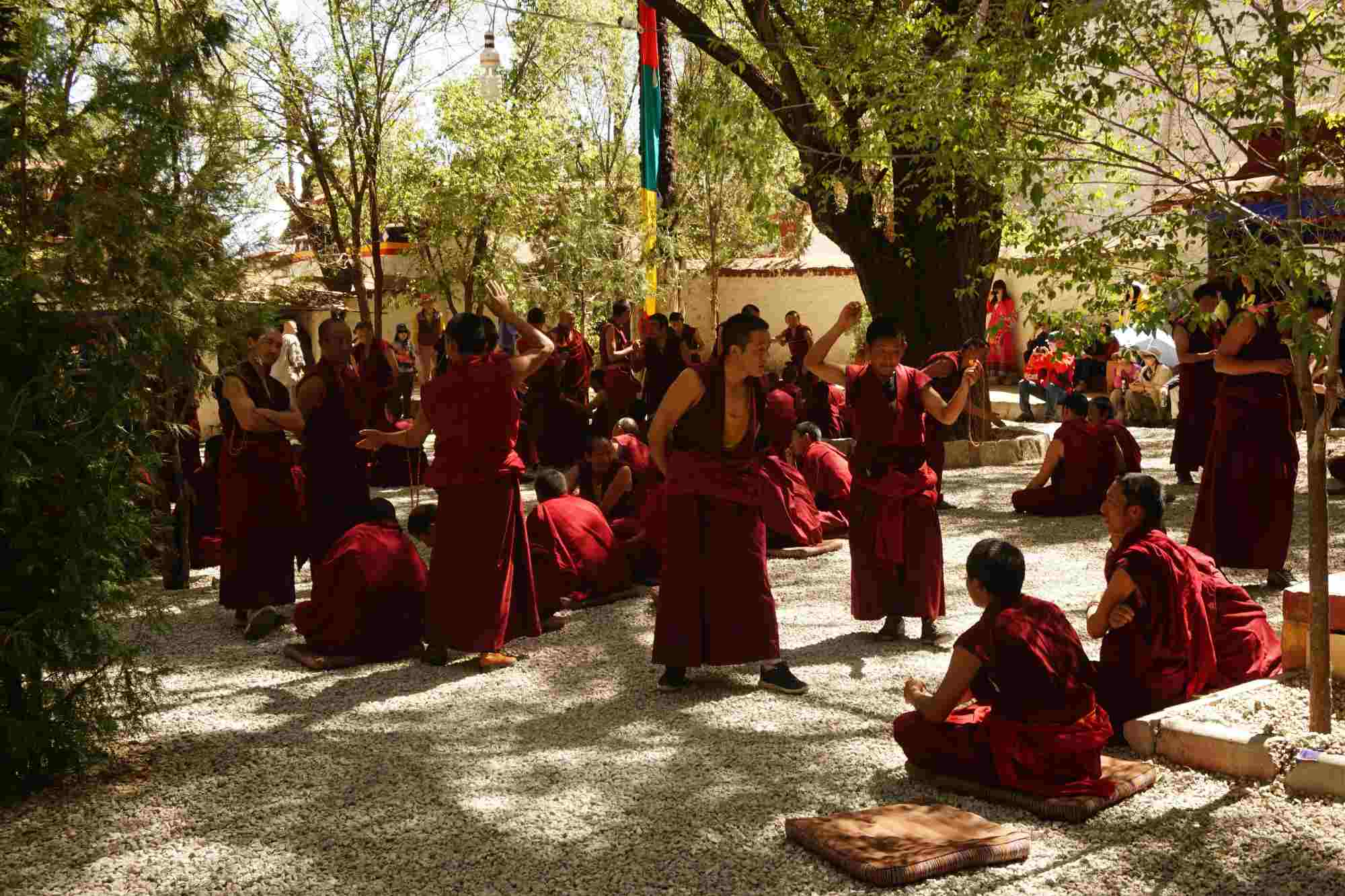 Sera Monastery Tour