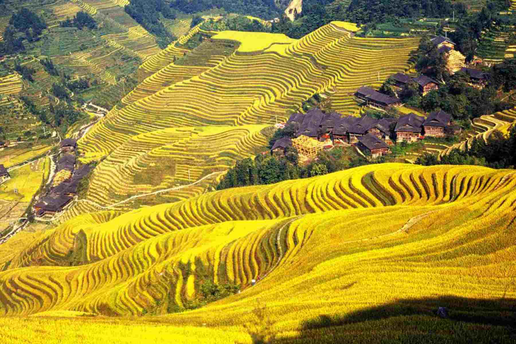 4-Day China Classic Tour of Hong Kong and Guilin