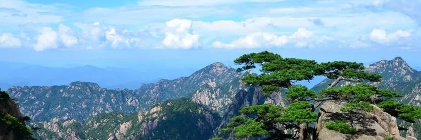Jiangxi travel agency