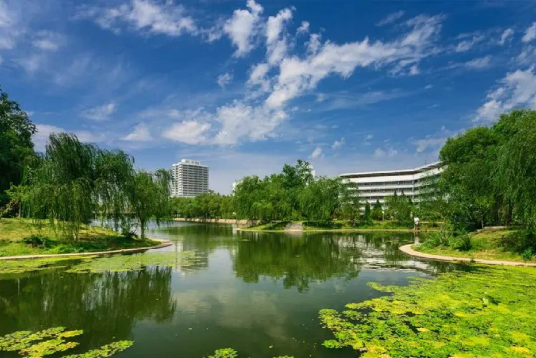 Jiangsu travel agency