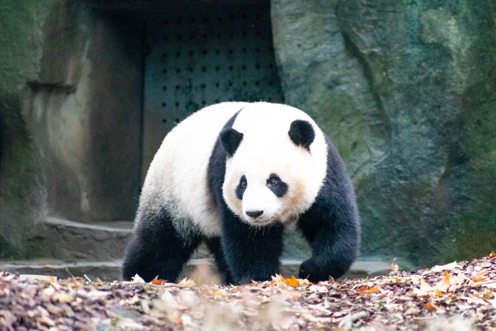 Huanglong national Park