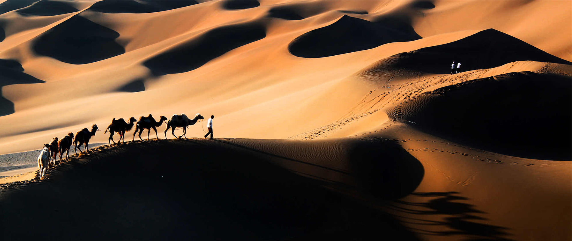 Silk Road Tours