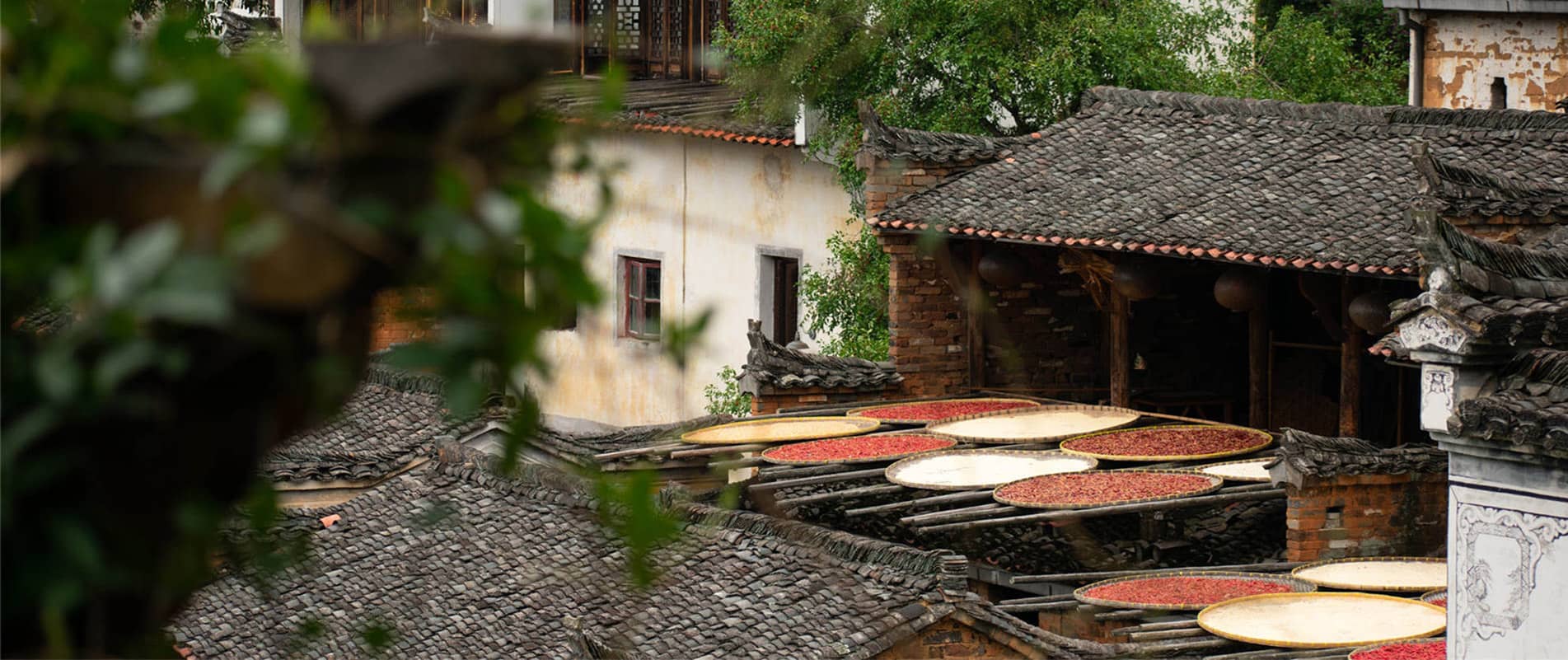 Jiangxi Tours