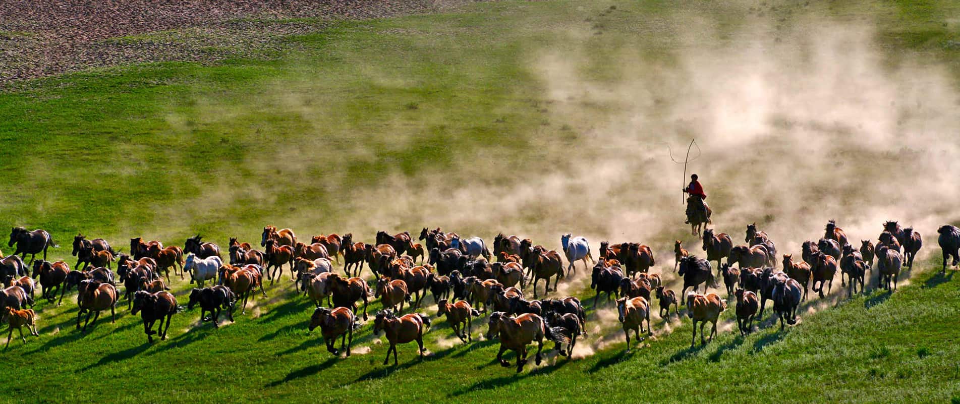 Inner Mongolia Tours