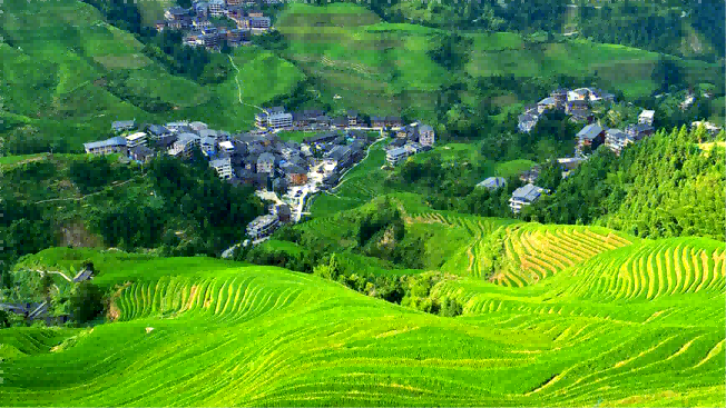 Longji Rice Terraced Fields and Minority Villages Private 1-Day Tour
