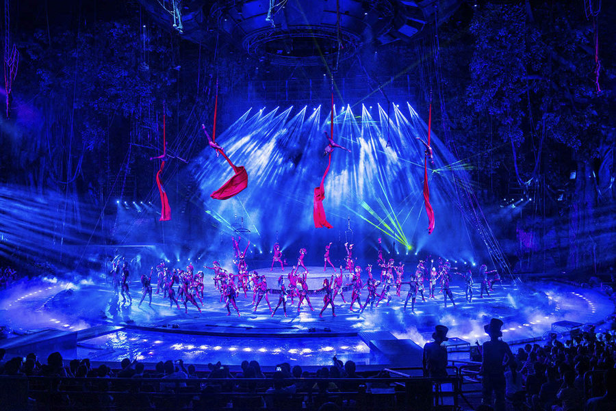 Guangzhou Chimelong Combo Day Tour: International Circus & Wildlife World (Private or Group Options Available)