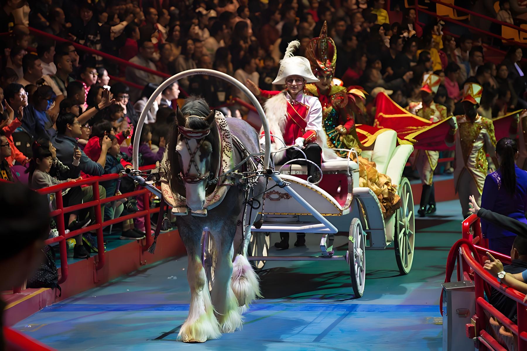 Guangzhou Chimelong Combo Day Tour: International Circus & Wildlife World (Private or Group Options Available)